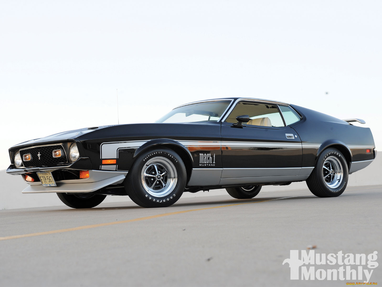 , mustang